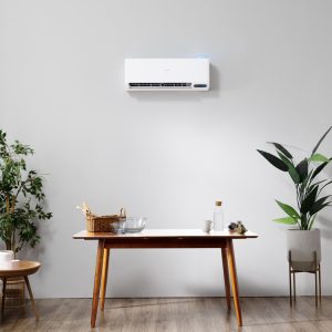 Coway Aircond in living room